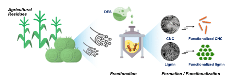 an illustration that shows the biorefinery process